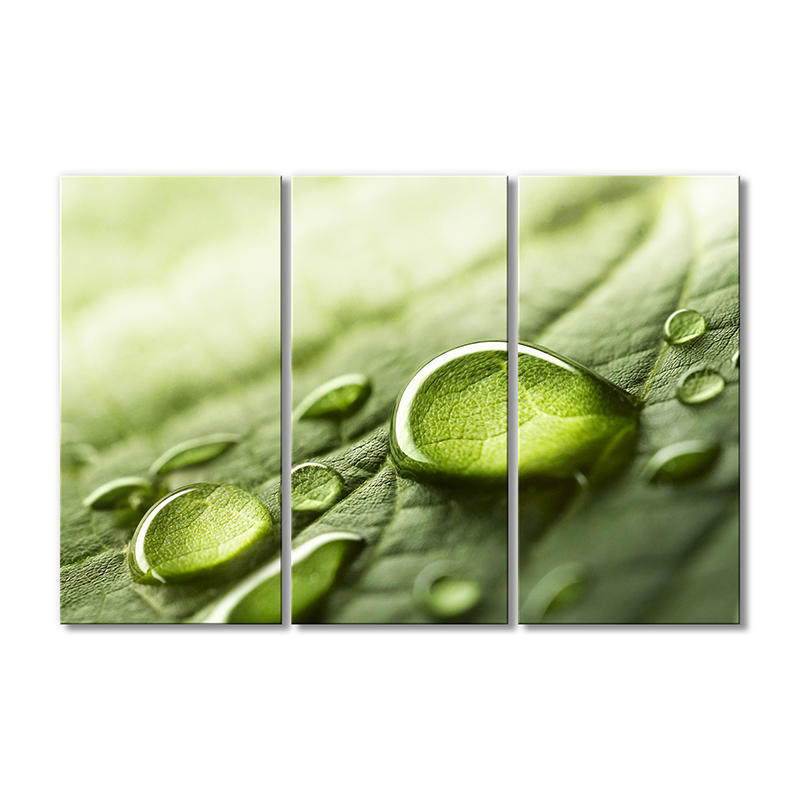 

Модульная картина Artel «Капли росы на листе» 3 модуля 60x90 см