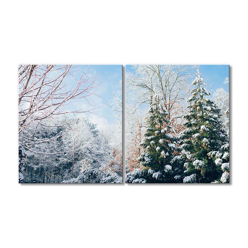 

Модульная картина Artel «Зимняя природа» 2 модуля 60x90 см