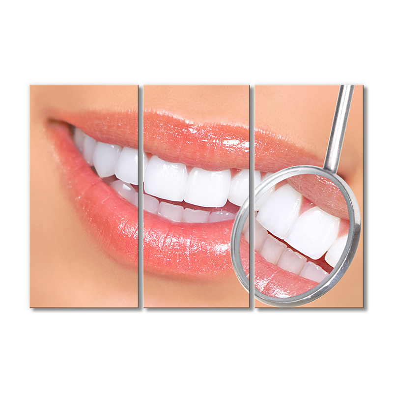 

Модульная картина Artel «Здоровые зубы» 3 модуля 120x180 см