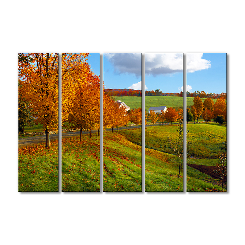 

Модульная картина Artel «Загородная осенняя дорога» 5 модулей 70x105 см