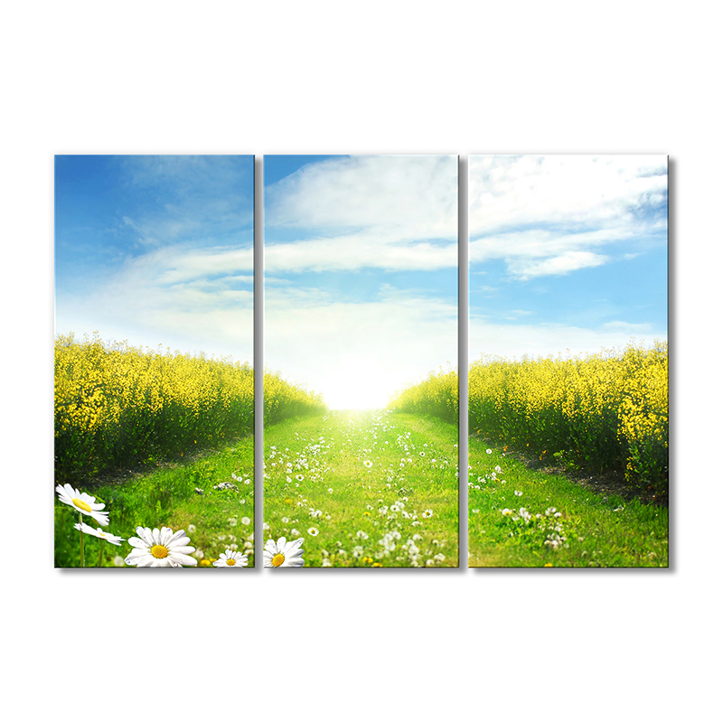 

Модульная картина Artel «Зеленая тропинка в поле» 3 модуля 80x120 см