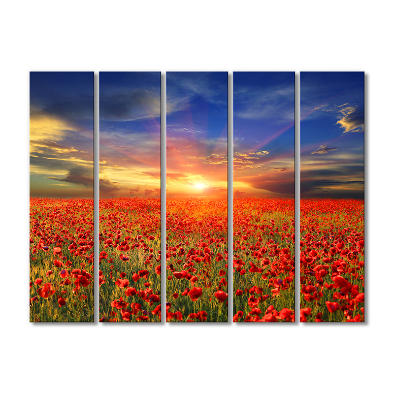 

Модульная картина Artel «Закат над маковым полем» 5 модулей 120x180 см