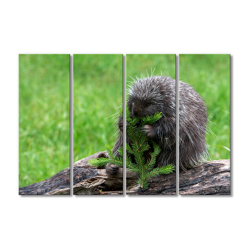 

Модульная картина Artel «Дикобраз грызет ветку елки» 4 модуля 120x180 см