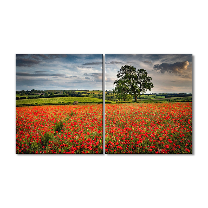 

Модульная картина Artel «Маковое поле и пасмурное небо» 2 модуля 60x90 см