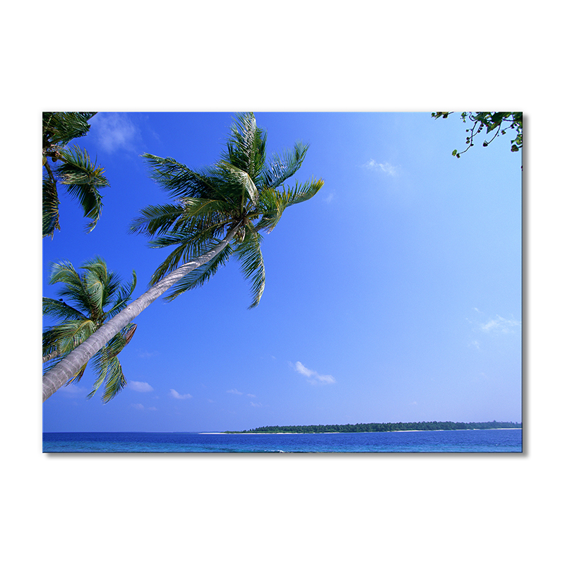 

Модульная картина Artel «Мальдивы под пальмами» 1 модуль 70x105 см