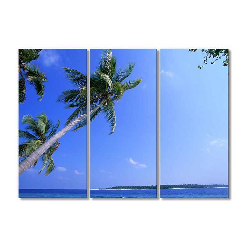

Модульная картина Artel «Мальдивы под пальмами» 3 модуля 80x120 см