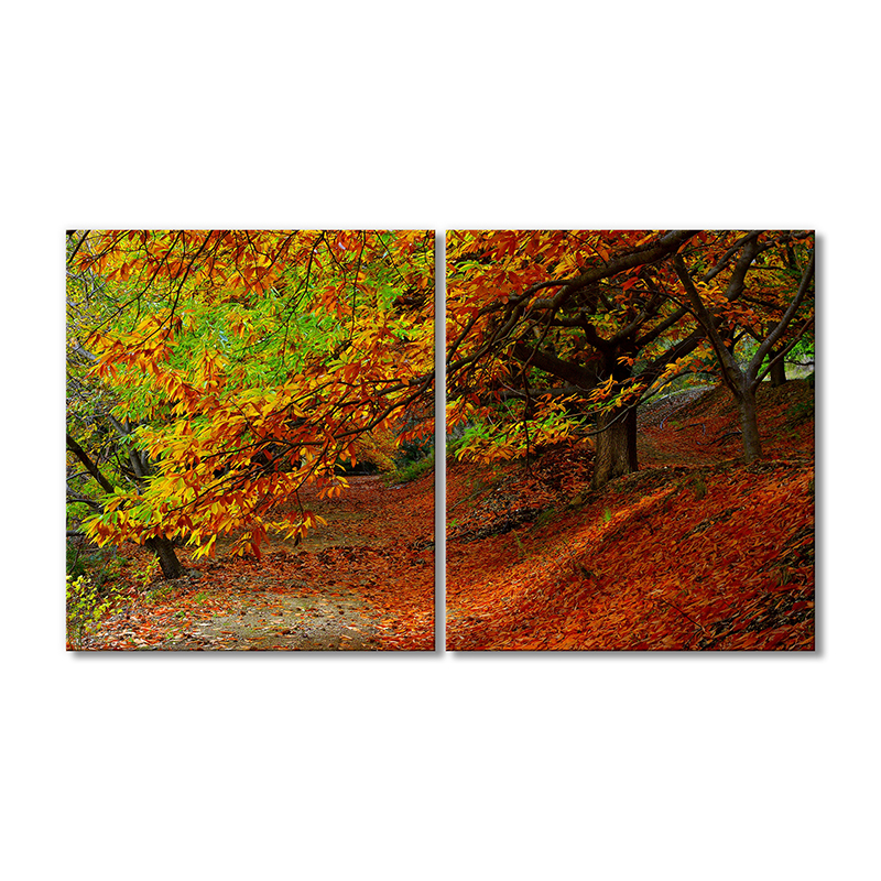 

Модульная картина Artel «Осенняя тропа с деревьями» 2 модуля 120x180 см