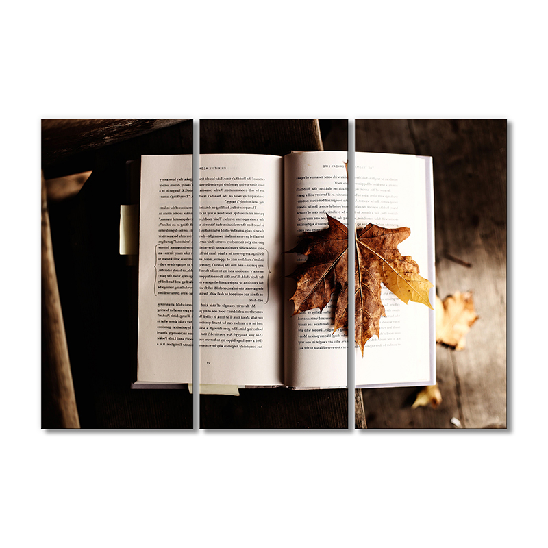 

Модульная картина Artel «Книга с осенним листом» 3 модуля 80x120 см