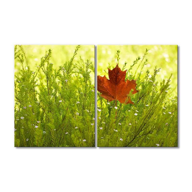 

Модульная картина Artel «Кленовый лист в траве» 2 модуля 50x75 см