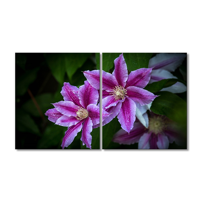 

Модульная картина Artel «Клематис фиолетовый цветок» 2 модуля 80x120 см