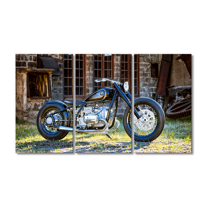 

Модульная картина Artel «Классический мотоцикл BMW r90s» 3 модуля 80x120 см