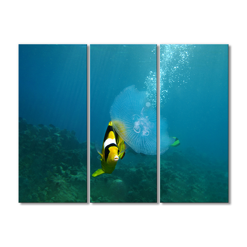 

Модульная картина Artel «Клоун рыба и медуза» 3 модуля 90x135 см