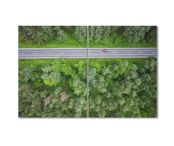 

Модульная картина Artel «Лес с высоты птичьего полета» 2 модуля 120x180 см