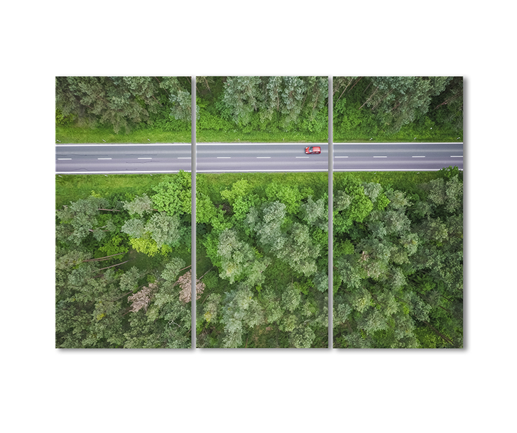 

Модульная картина Artel «Лес с высоты птичьего полета» 3 модуля 90x135 см