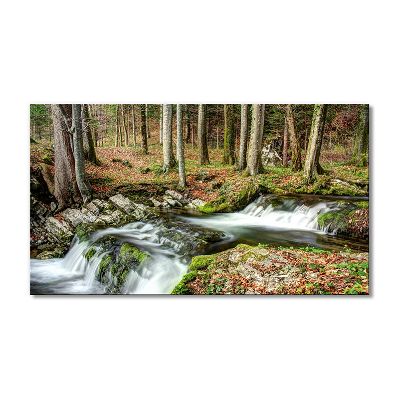 

Модульная картина Artel «Лес река природа» 1 модуль 60x90 см