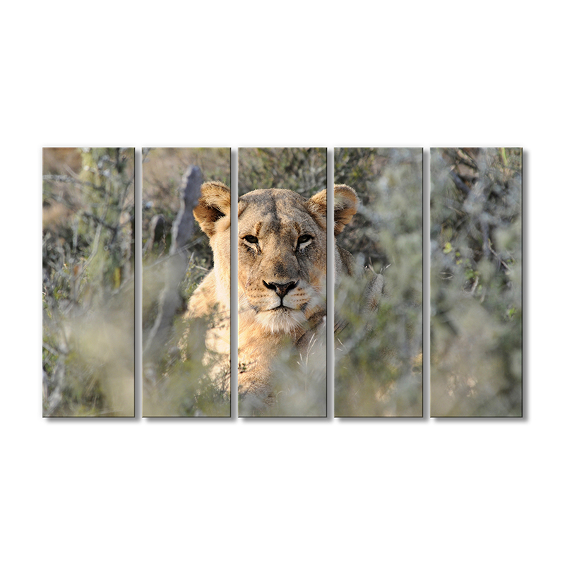 

Модульная картина Artel «Львица на охоте» 5 модулей 90x135 см