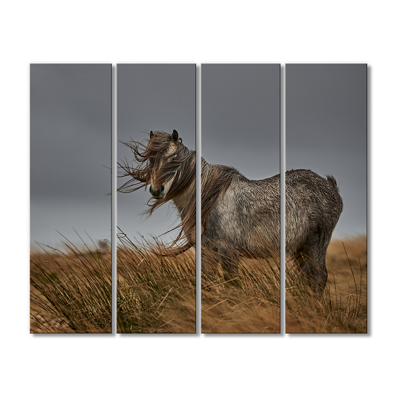 

Модульная картина Artel «Лошадь в степи и ветер» 4 модуля 70x105 см