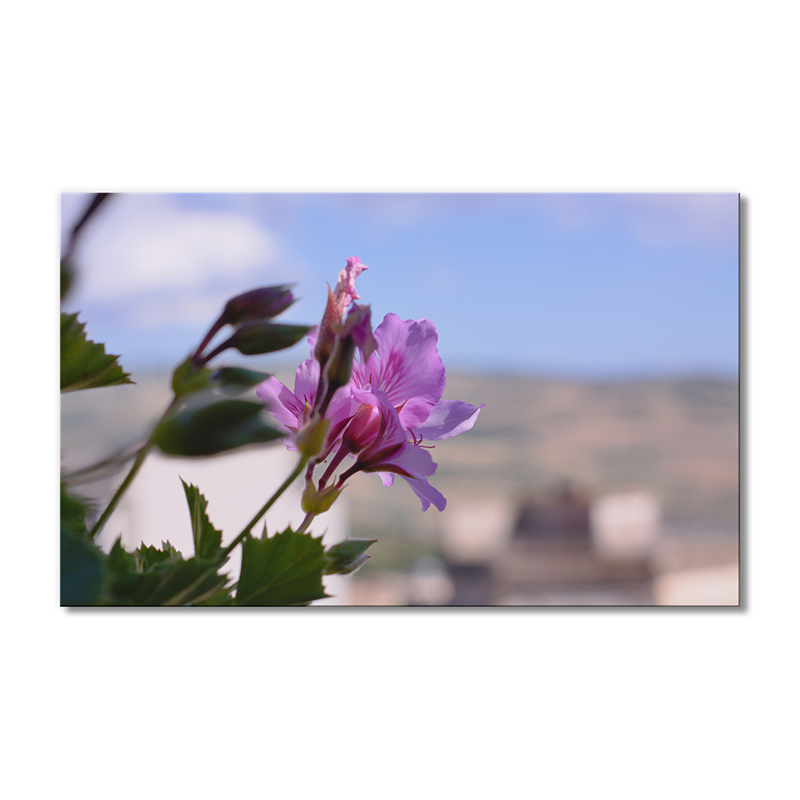 

Модульная картина Artel «Лиловая лилия» 1 модуль 70x105 см