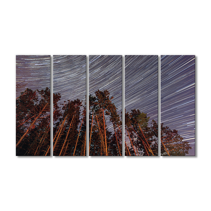 

Модульная картина Artel «Небо звездное деревья» 5 модулей 70x105 см