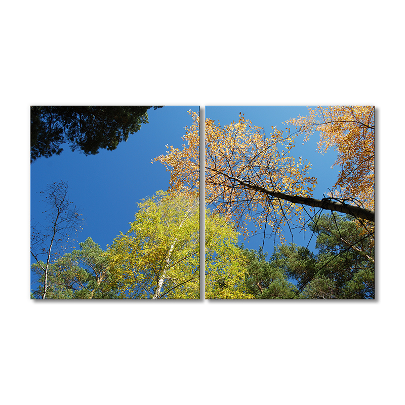 

Модульная картина Artel «Небо и высокие деревья» 2 модуля 80x120 см