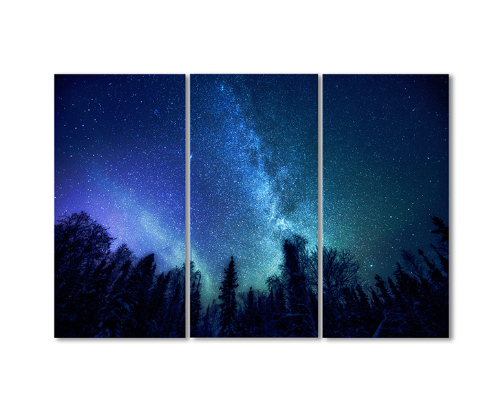 

Модульная картина Artel «Млечный путь» 3 модуля 80x120 см