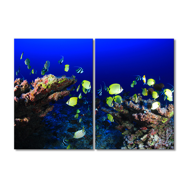 

Модульная картина Artel «Морская жизнь» 2 модуля 80x120 см