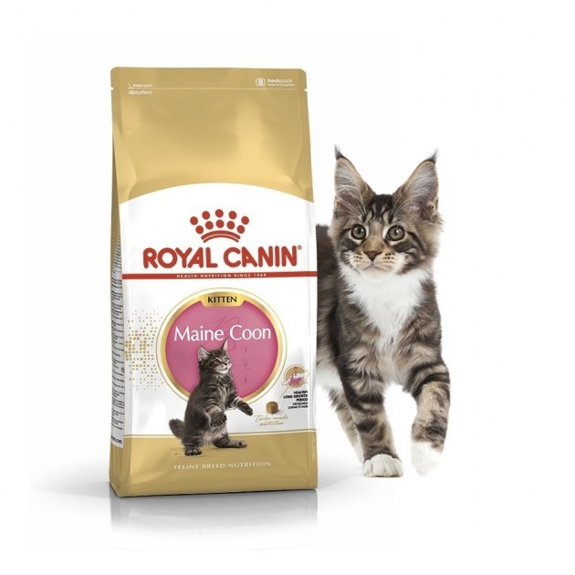 

Сухой корм Royal Canin Maine Coon Kitten для котят породы мейн-кун 4 кг