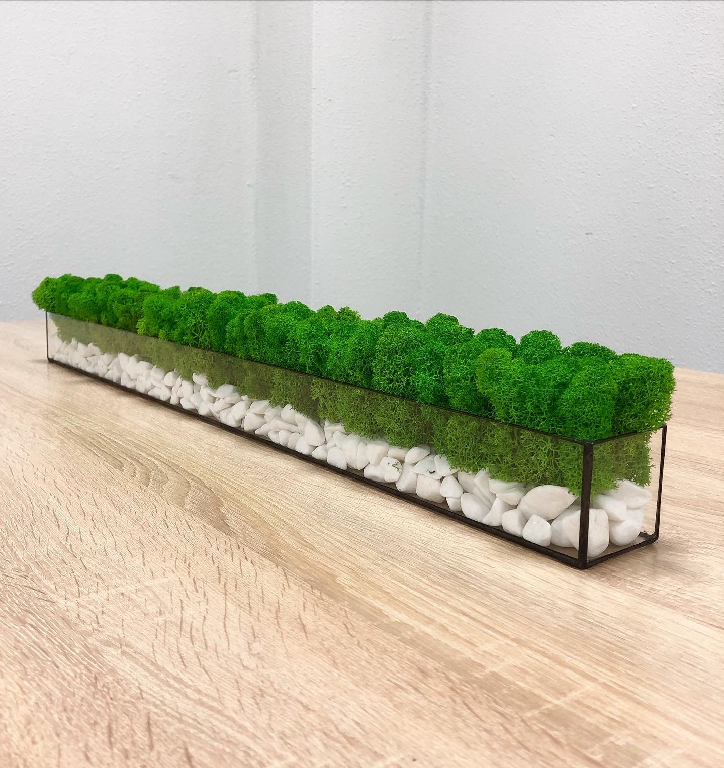 

Моссариум со стабилизированым мхом MiNature Moss 80см