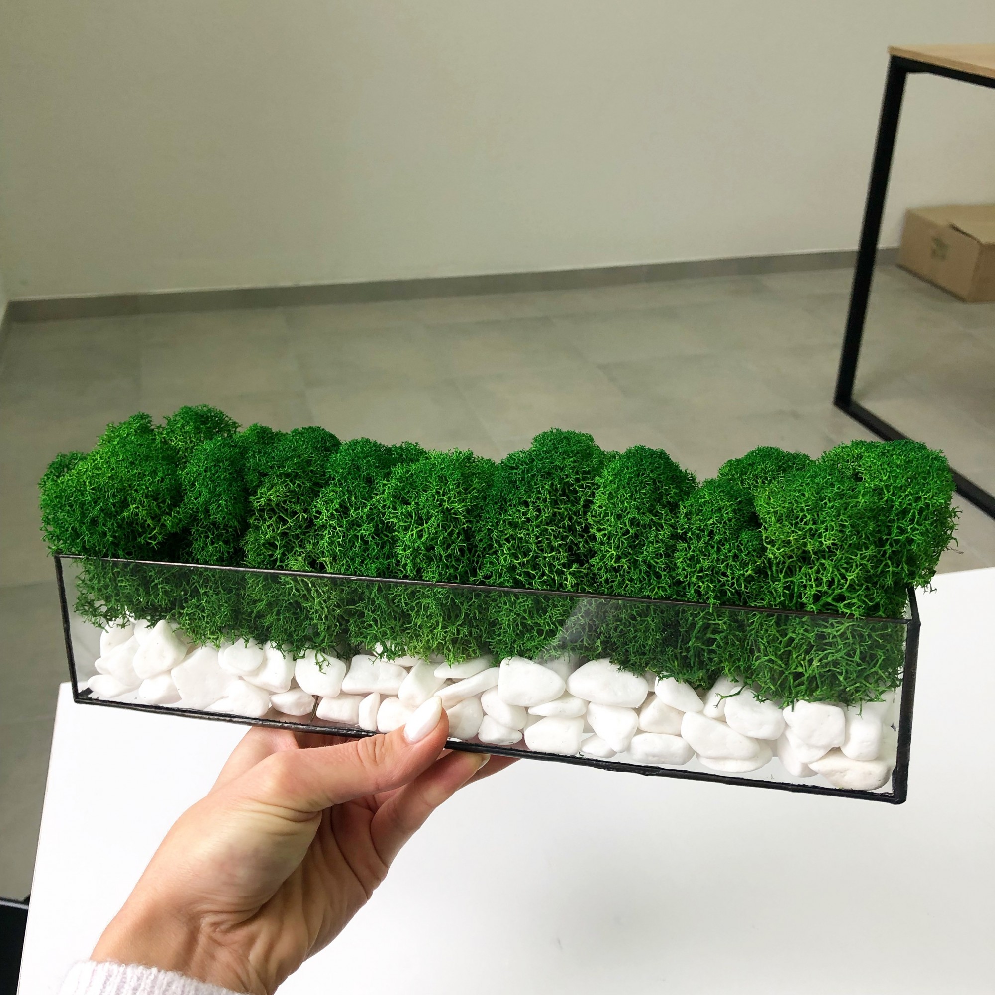 

Моссариум со стабилизированым мхом MiNature Moss натурально зелёный 30 см