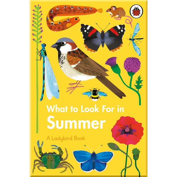 

Ladybird What to Look For in Summer. Elizabeth Jenner. ISBN:9780241416204