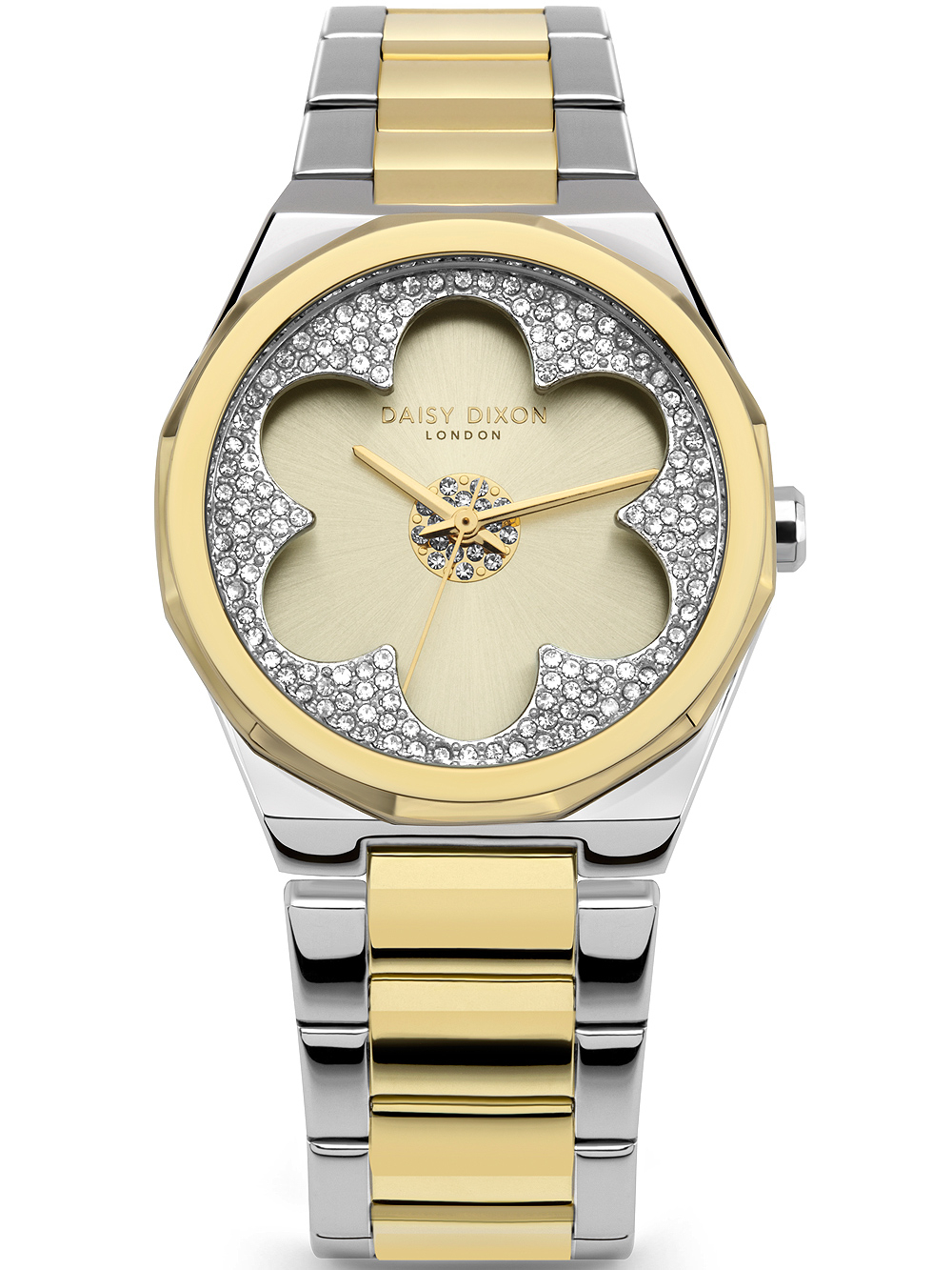 

Женские часы Daisy Dixon DD168SGM
