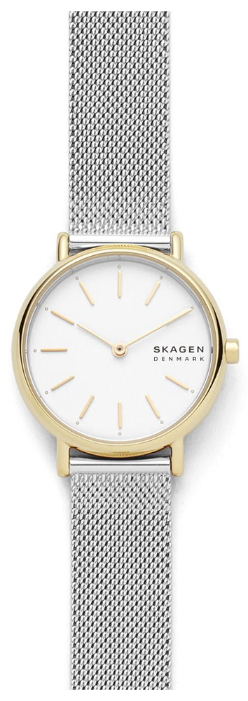 

Женские Часы Skagen SKW2910