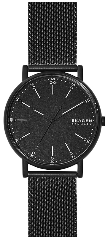 

Мужские Часы Skagen SKW6579