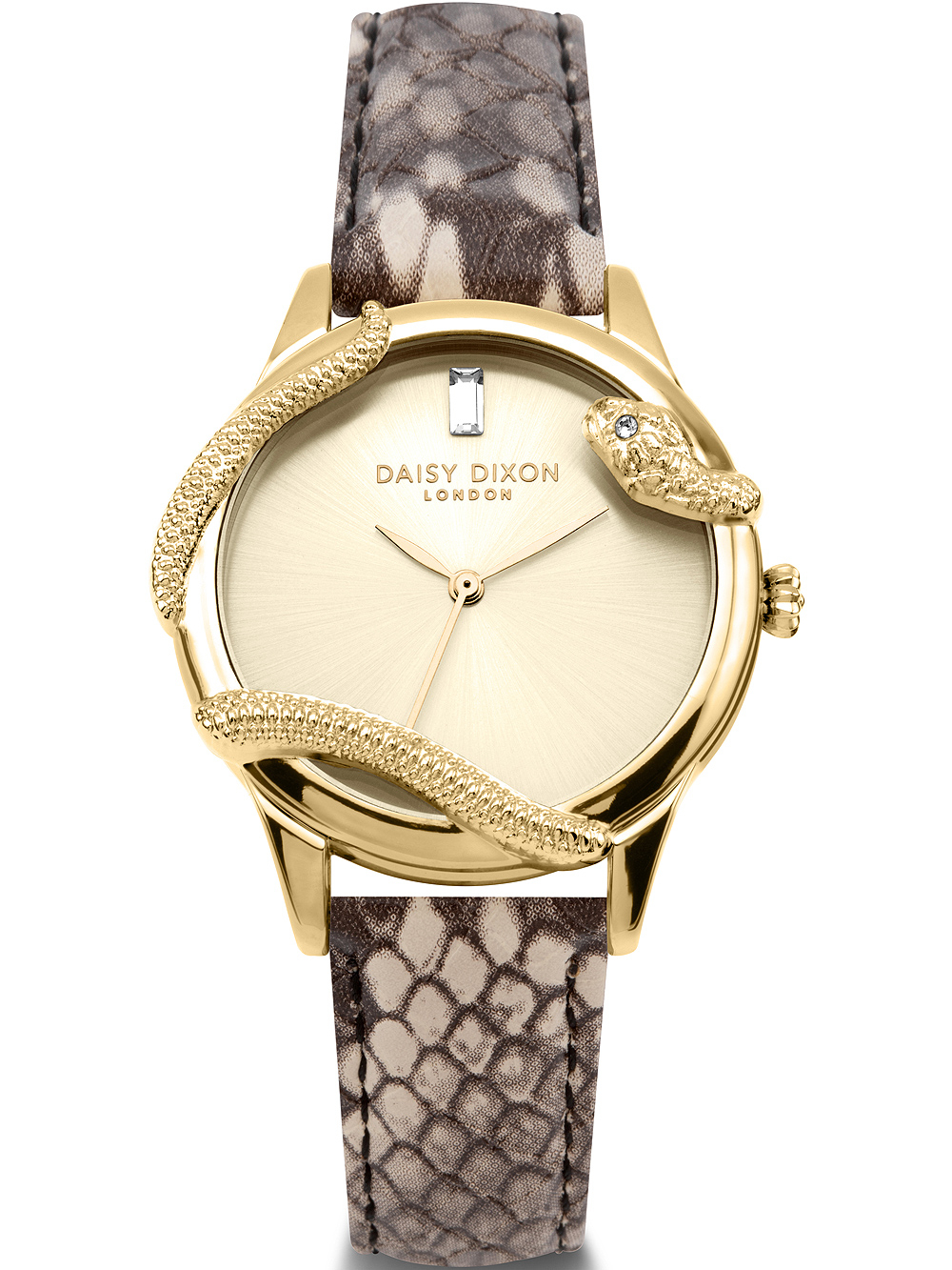 

Женские часы Daisy Dixon DD139CG