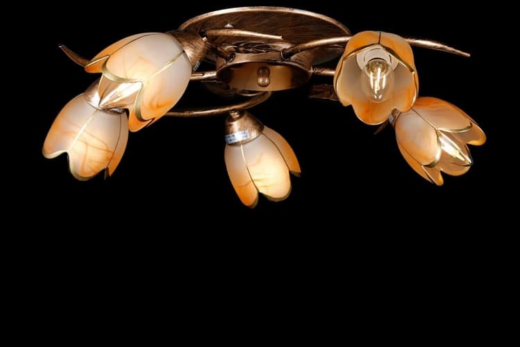 

Люстра с плафонами Ray L90780B/5 (AN004018)