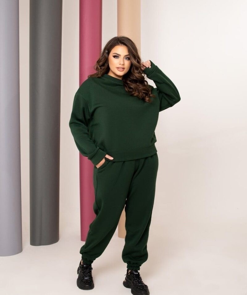 

Тёплый спортивный костюм Бутылка Asphodel FS-5119 с начесом р.- 005119, Тёплый спортивный костюм Бутылка Asphodel FS-5119 с начесом р.46-48 005119