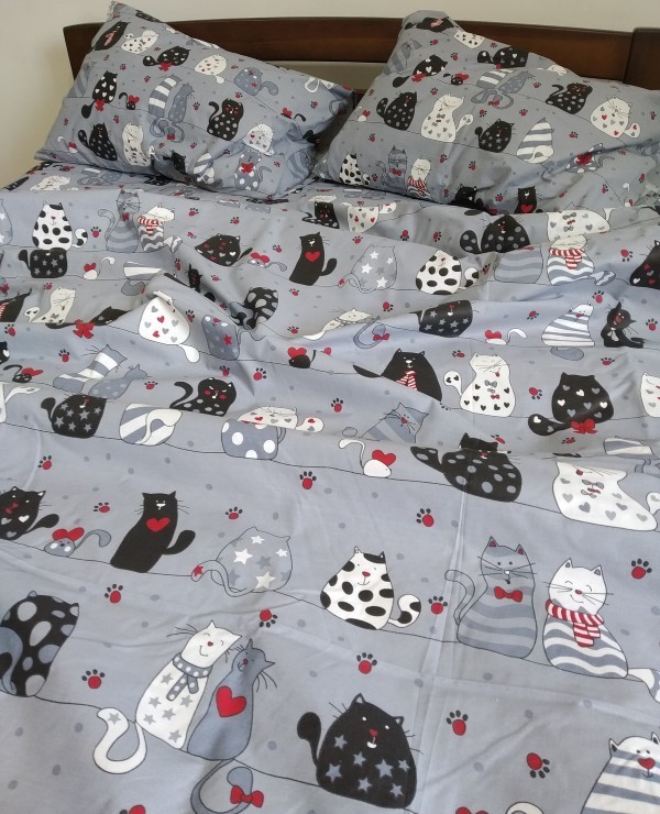 

Комплект постельного белья AV-favorit Бязь Люкс 200*220 Серые котики (b-03019)