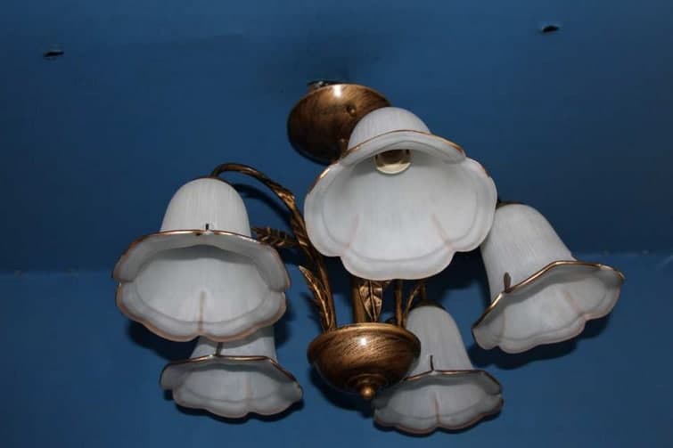 

Люстра с плафонами Ray L90563/5 (BG) (AN004117)