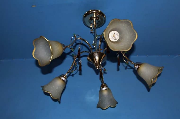 

Люстра с плафонами Ray L90605/5 (FGD) (AN004120)