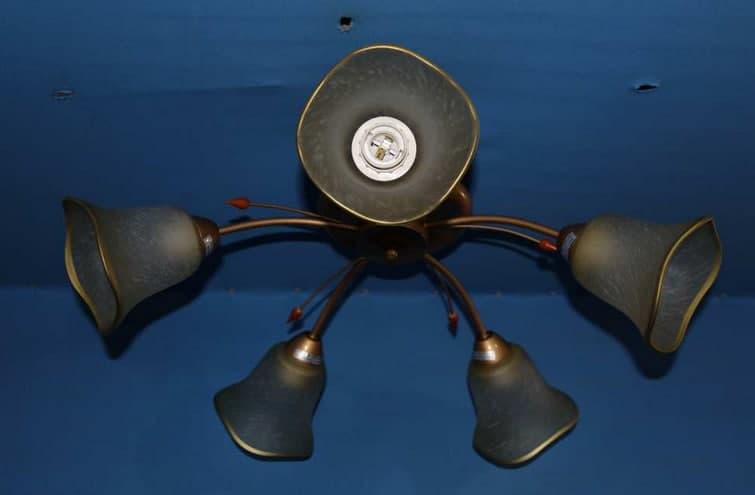 

Люстра с плафонами Ray L90598/5 (AN004125)
