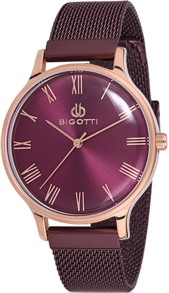 

Часы наручные Bigotti BGT0256-4