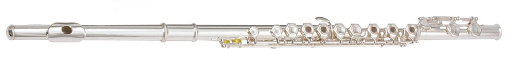 

Флейта MAXTONE TFC53S (TFC48S)