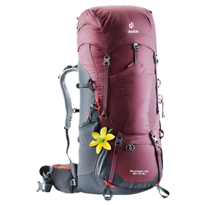 

Рюкзак Deuter Aircontact Lite 60+10 SL maron-graphite (4340218 5423)