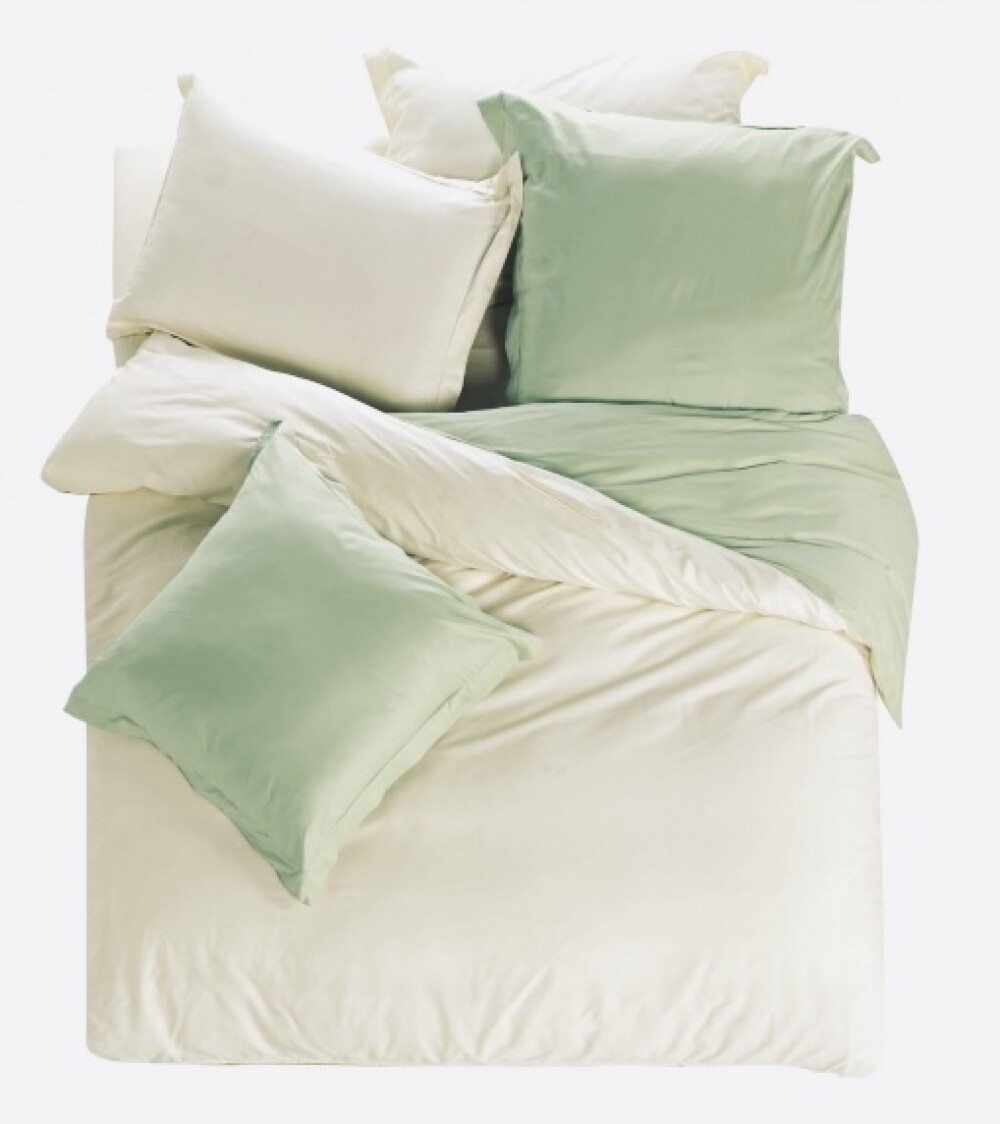 

Комплект постельного белья Сатин Делюкс ДУЭТ КРЕМОВЫЙ+ОЛИВКА двуспальный 175х215 см, наволочки 50*70