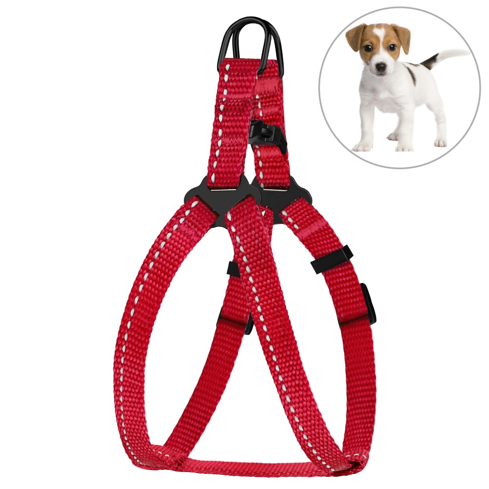 

Шлея для Собак Мелких Пород BronzeDog Active Нейлоновая со Светоотражением Красная 23-30 см (68/1303)