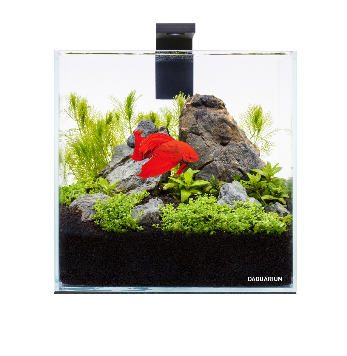 

Аквариумный набор Collar DAQUARIUM Pico Set 5 л (7141)