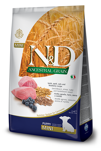 

Сухой корм Farmina (Фармина) Low Grain Dog Lamb & Blueberry Puppy Mini для щенков мелких пород ягненок 2.5 кг