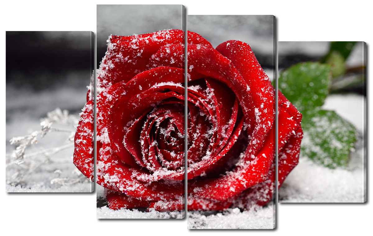 

Модульная картина Interno Холст Роза на снегу 94x56см