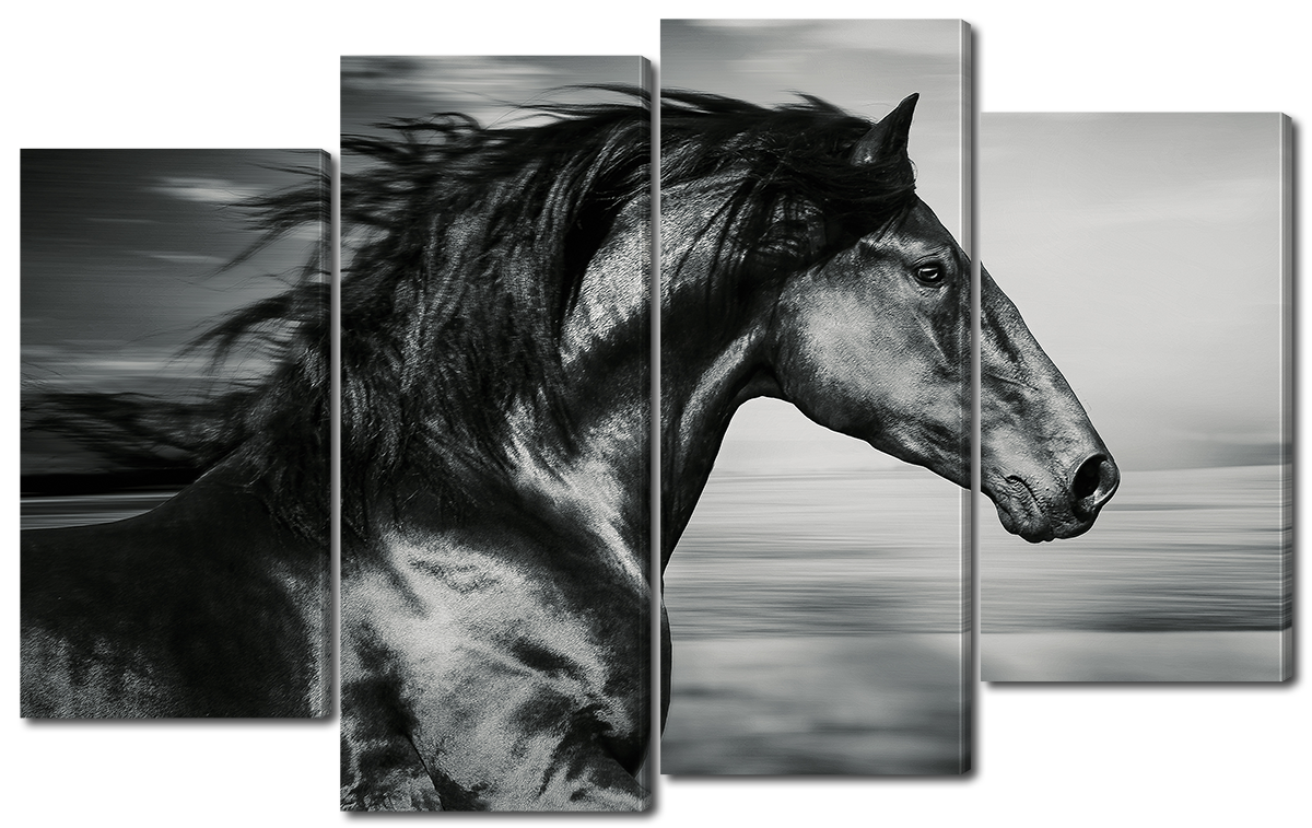 

Модульная картина Interno Холст Черная лошадь 146x89см