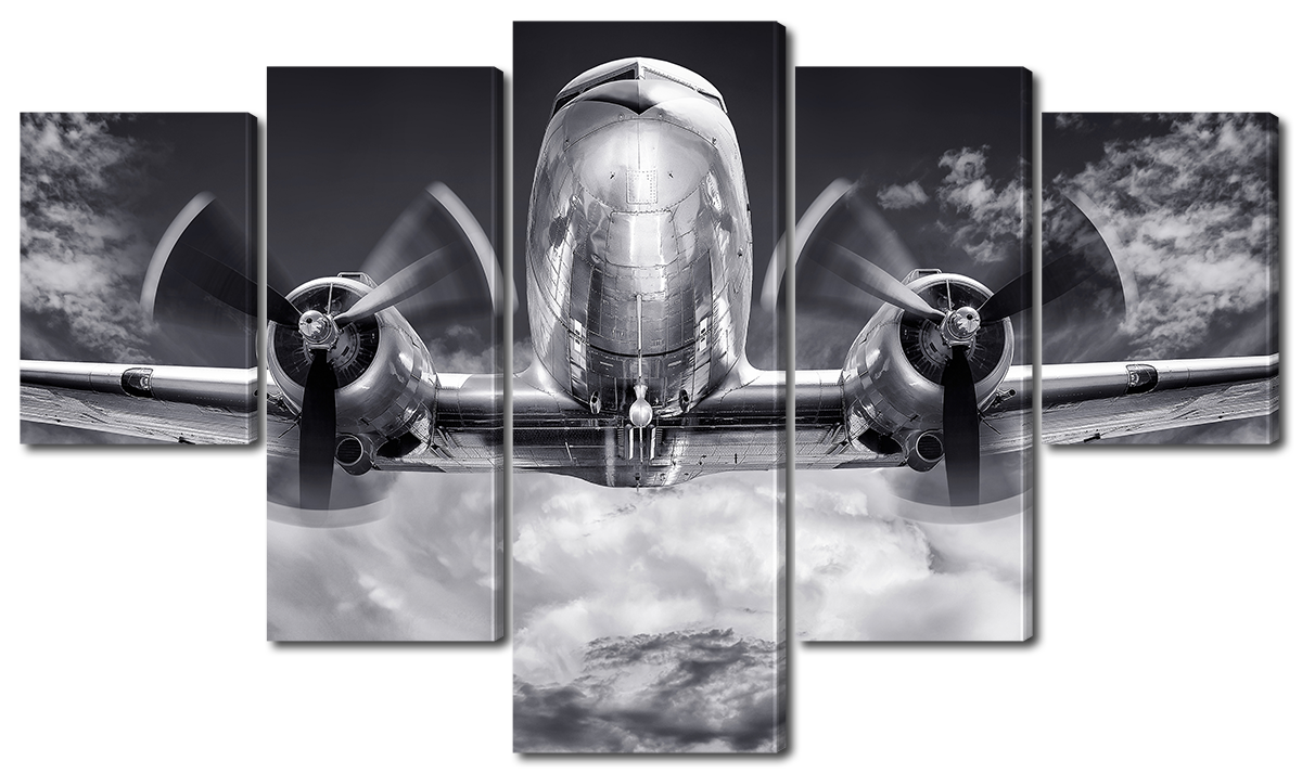 

Модульная картина Interno Холст Черно-белый самолет 123х69см